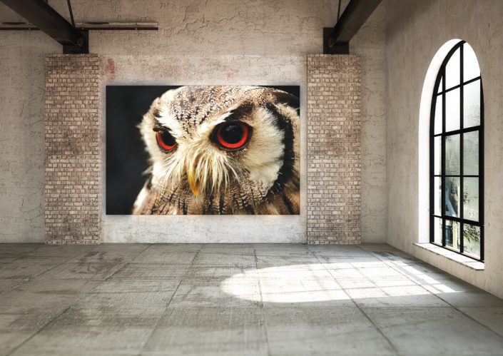 Motiv auf Spannrahmen-Galerie